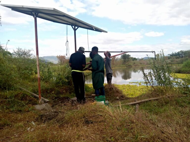 Solar Water Heater & Pump Installation in Tanzania | Solar Experts